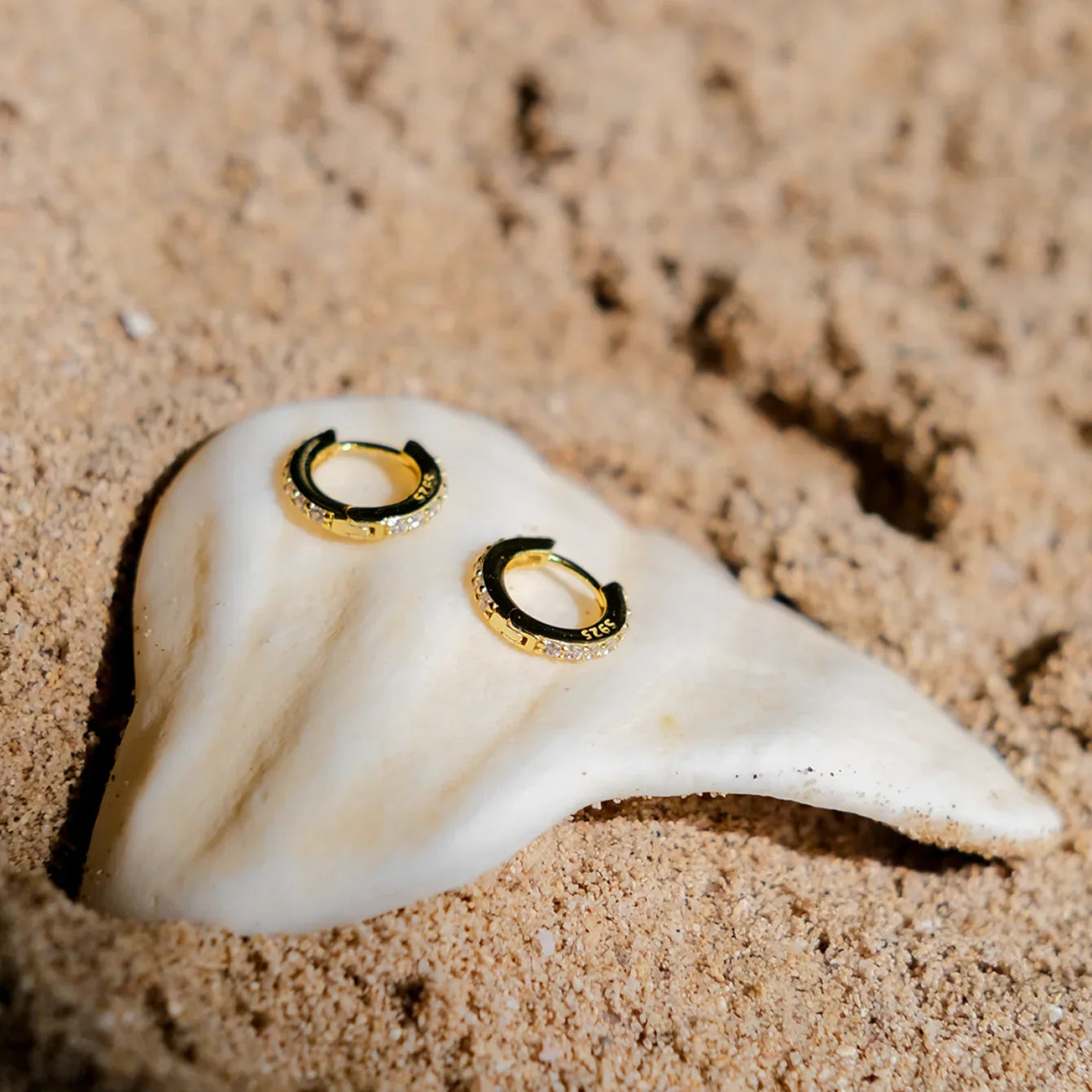 [Echo Fine]Terra Huggie Earrings